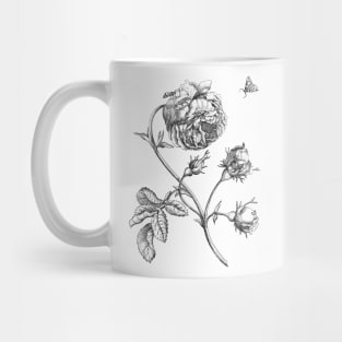 Rose Flower Vinatge Botanical Illustration Mug